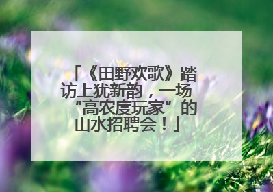 《田野欢歌》踏访上犹新韵，一场“高农度玩家”的山水招聘会！