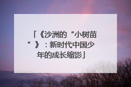 《沙洲的“小树苗”》：新时代中国少年的成长缩影