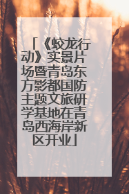 《蛟龙行动》实景片场暨青岛东方影都国防主题文旅研学基地在青岛西海岸新区开业