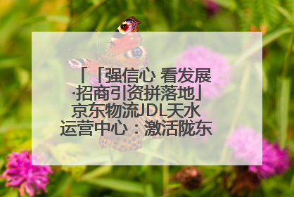 「强信心 看发展·招商引资拼落地」京东物流JDL天水运营中心：激活陇东南区域经济新引擎