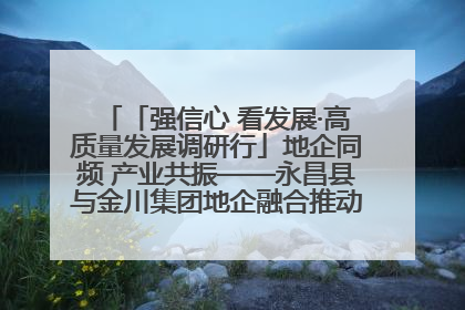 「强信心 看发展·高质量发展调研行」地企同频 产业共振——永昌县与金川集团地企融合推动重大项目建设