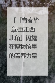 「青春华章·重走西北角」闪耀在博物馆里的青春力量