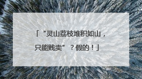 “灵山荔枝堆积如山，只能贱卖”？假的！