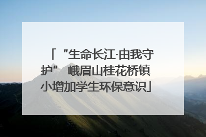 “生命长江·由我守护” 峨眉山桂花桥镇小增加学生环保意识