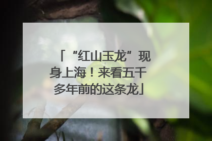 “红山玉龙”现身上海！来看五千多年前的这条龙