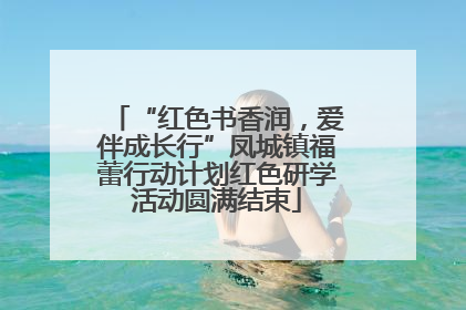 “红色书香润，爱伴成长行”凤城镇福蕾行动计划红色研学活动圆满结束