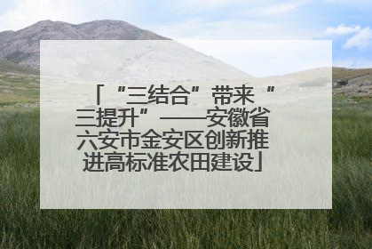 “三结合”带来“三提升”——安徽省六安市金安区创新推进高标准农田建设