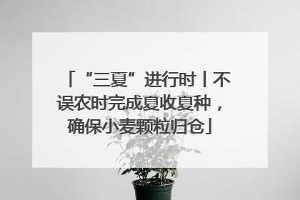 “三夏”进行时丨不误农时完成夏收夏种，确保小麦颗粒归仓