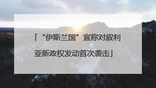 “伊斯兰国”宣称对叙利亚新政权发动首次袭击