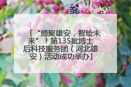 “博聚雄安，智绘未来”！第135批博士后科技服务团（河北雄安）活动成功举办