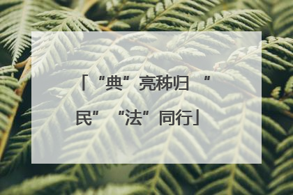 “典”亮秭归 “民”“法”同行