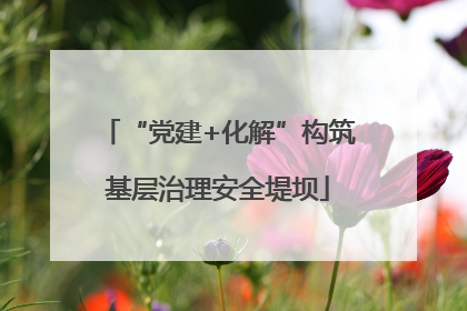 “党建+化解”构筑基层治理安全堤坝