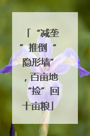 “减垄”推倒“隐形墙”，百亩地“捡”回十亩粮