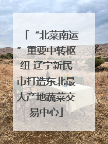“北菜南运”重要中转枢纽 辽宁新民市打造东北最大产地蔬菜交易中心