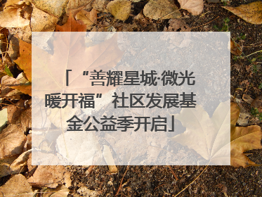 “善耀星城·微光暖开福”社区发展基金公益季开启