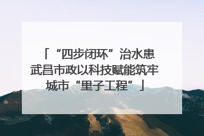 “四步闭环”治水患 武昌市政以科技赋能筑牢城市“里子工程”