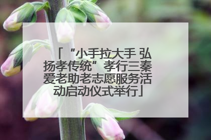“小手拉大手 弘扬孝传统”孝行三秦爱老助老志愿服务活动启动仪式举行