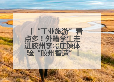 “工业旅游”看点多！外籍学生走进胶州李哥庄镇体验“胶州智造”