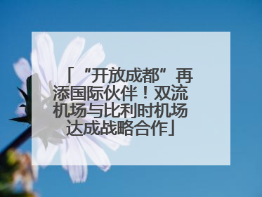 “开放成都”再添国际伙伴！双流机场与比利时机场达成战略合作