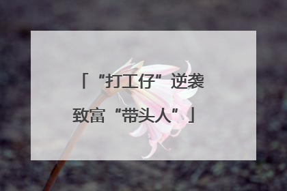 “打工仔”逆袭致富“带头人”