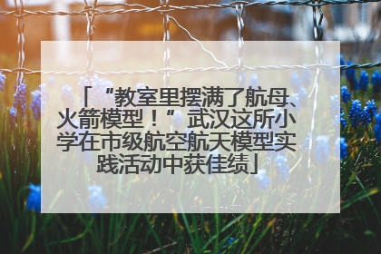 “教室里摆满了航母、火箭模型！”武汉这所小学在市级航空航天模型实践活动中获佳绩