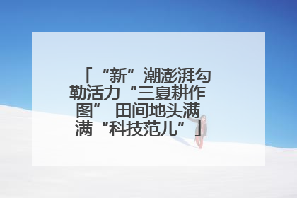 “新”潮澎湃勾勒活力“三夏耕作图” 田间地头满满“科技范儿”