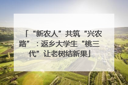 “新农人”共筑“兴农路”：返乡大学生“桃三代”让老树结新果