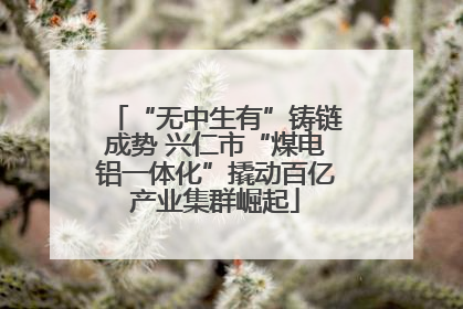 “无中生有”铸链成势 兴仁市“煤电铝一体化”撬动百亿产业集群崛起