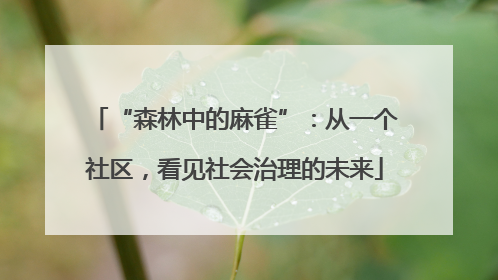 “森林中的麻雀”：从一个社区，看见社会治理的未来