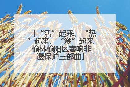 “活”起来、“热”起来、“潮”起来 榆林榆阳区奏响非遗保护三部曲