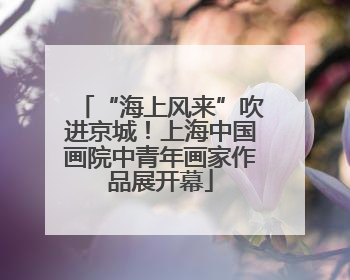 “海上风来”吹进京城！上海中国画院中青年画家作品展开幕