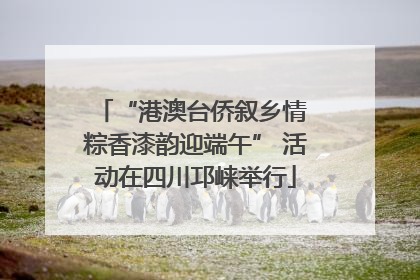 “港澳台侨叙乡情 粽香漆韵迎端午” 活动在四川邛崃举行