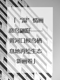 “湿”情画意鸟翩跹——黄河口候鸟栖息地再绘生态新画卷
