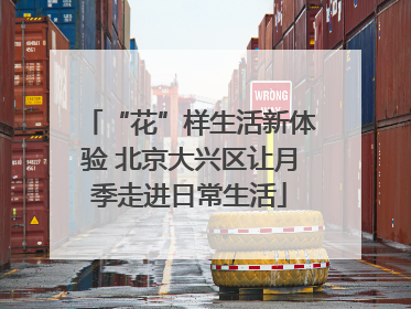 “花”样生活新体验 北京大兴区让月季走进日常生活