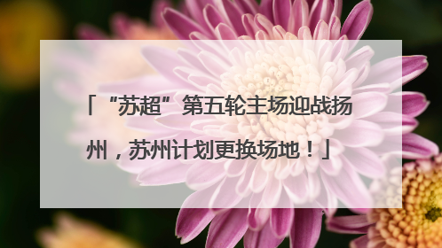 “苏超”第五轮主场迎战扬州，苏州计划更换场地！