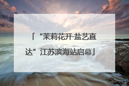 “茉莉花开·盐艺直达”江苏滨海站启幕