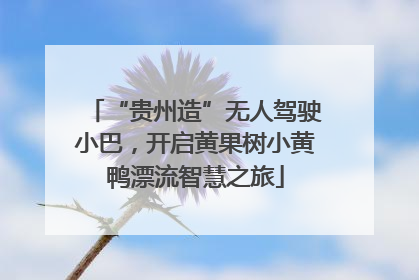“贵州造”无人驾驶小巴，开启黄果树小黄鸭漂流智慧之旅