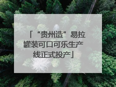 “贵州造”易拉罐装可口可乐生产线正式投产