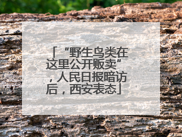 “野生鸟类在这里公开贩卖”，人民日报暗访后，西安表态