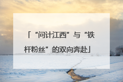 “问计江西”与“铁杆粉丝”的双向奔赴