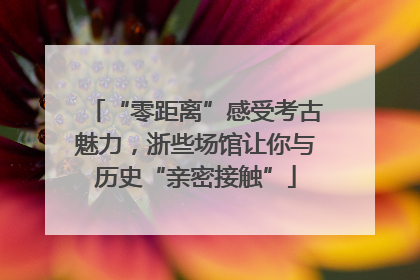 “零距离”感受考古魅力，浙些场馆让你与历史“亲密接触”