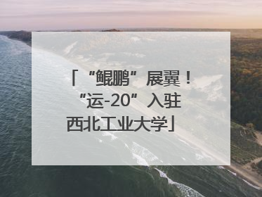 “鲲鹏”展翼！“运-20”入驻西北工业大学