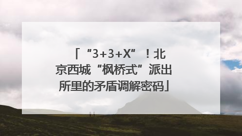 “3+3+X”！北京西城“枫桥式”派出所里的矛盾调解密码