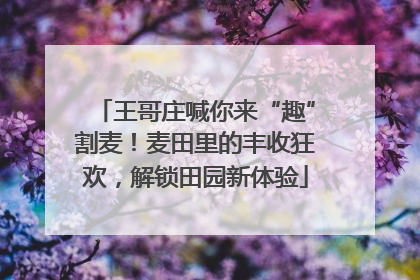 王哥庄喊你来“趣”割麦！麦田里的丰收狂欢，解锁田园新体验