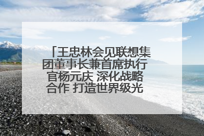 王忠林会见联想集团董事长兼首席执行官杨元庆 深化战略合作 打造世界级光电子信息产业集群