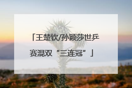王楚钦/孙颖莎世乒赛混双“三连冠”