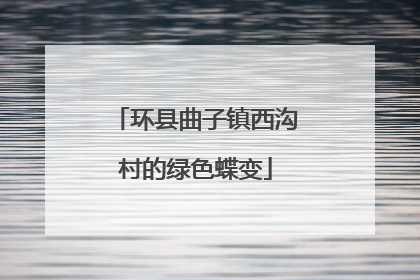 环县曲子镇西沟村的绿色蝶变