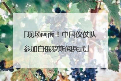 现场画面！中国仪仗队参加白俄罗斯阅兵式