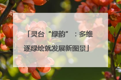 灵台“绿韵”：多维逐绿绘就发展新图景