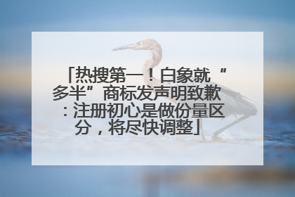 热搜第一！白象就“多半”商标发声明致歉：注册初心是做份量区分，将尽快调整